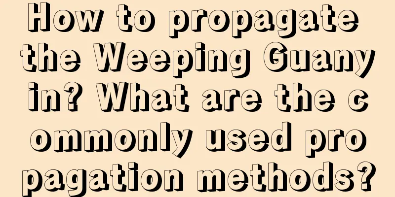 How to propagate the Weeping Guanyin? What are the commonly used propagation methods?