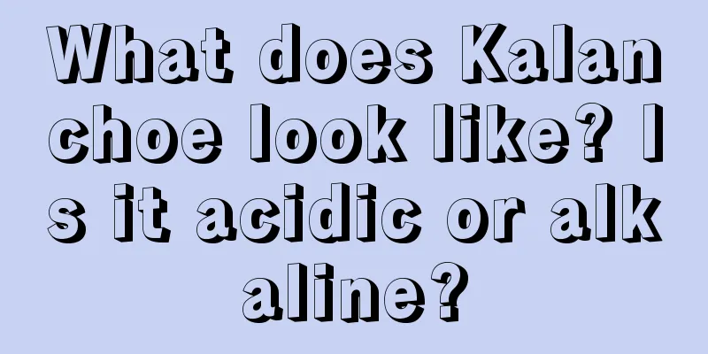 What does Kalanchoe look like? Is it acidic or alkaline?