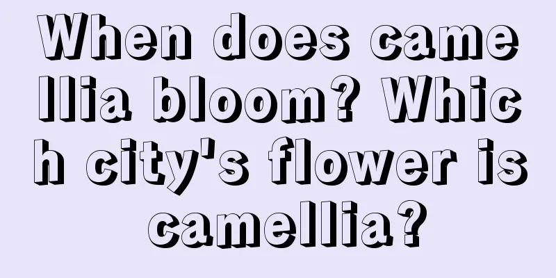 When does camellia bloom? Which city's flower is camellia?