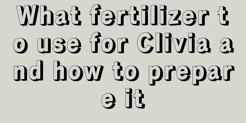 What fertilizer to use for Clivia and how to prepare it