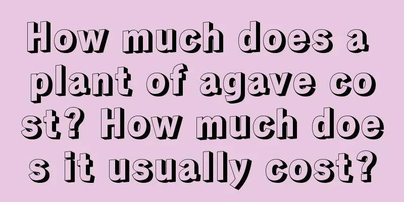 How much does a plant of agave cost? How much does it usually cost?