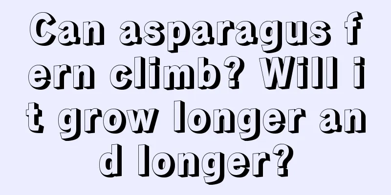 Can asparagus fern climb? Will it grow longer and longer?