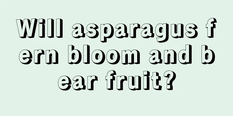 Will asparagus fern bloom and bear fruit?