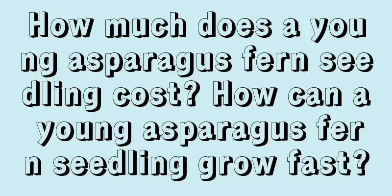 How much does a young asparagus fern seedling cost? How can a young asparagus fern seedling grow fast?