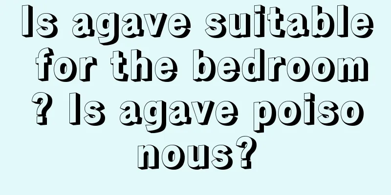 Is agave suitable for the bedroom? Is agave poisonous?