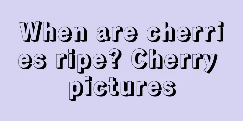 When are cherries ripe? Cherry pictures