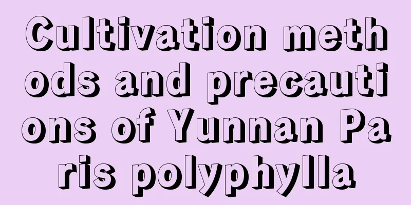 Cultivation methods and precautions of Yunnan Paris polyphylla