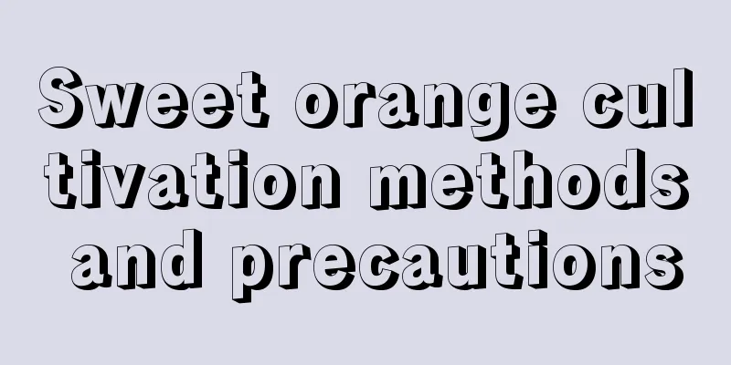 Sweet orange cultivation methods and precautions