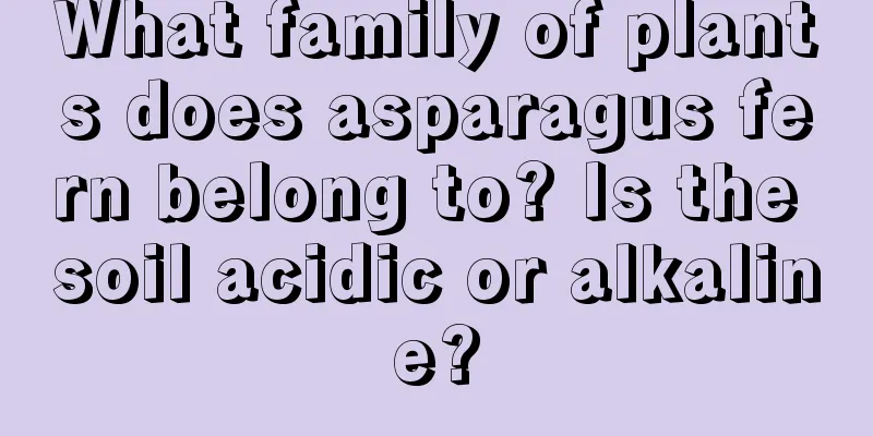 What family of plants does asparagus fern belong to? Is the soil acidic or alkaline?