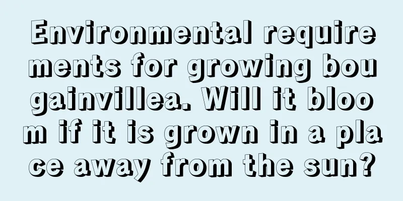 Environmental requirements for growing bougainvillea. Will it bloom if it is grown in a place away from the sun?