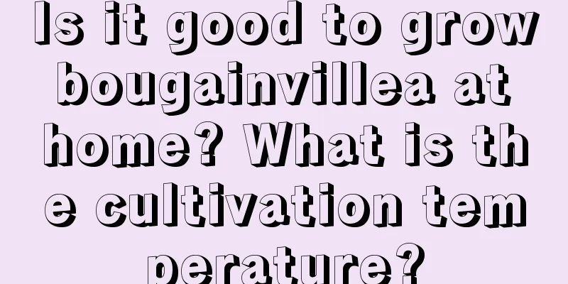 Is it good to grow bougainvillea at home? What is the cultivation temperature?