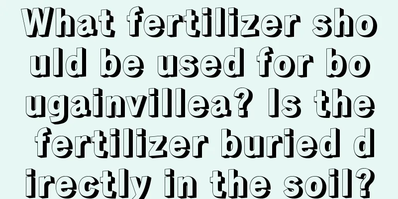 What fertilizer should be used for bougainvillea? Is the fertilizer buried directly in the soil?