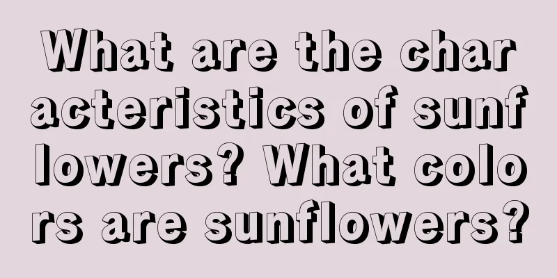 What are the characteristics of sunflowers? What colors are sunflowers?