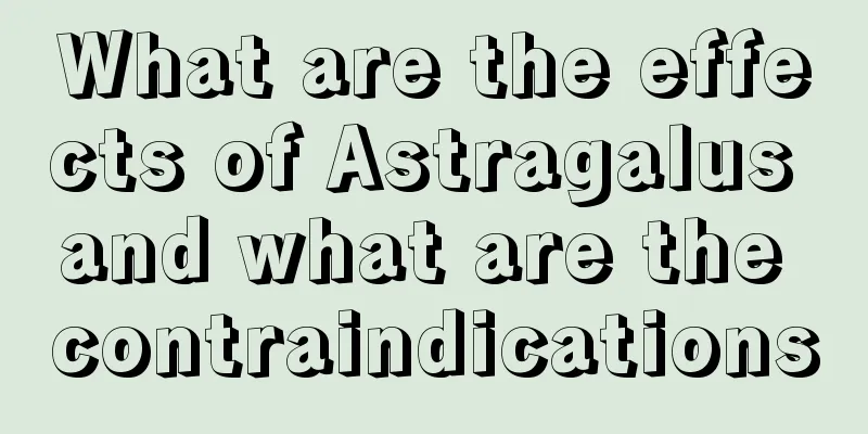 What are the effects of Astragalus and what are the contraindications