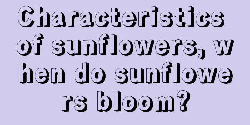 Characteristics of sunflowers, when do sunflowers bloom?