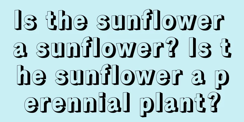 Is the sunflower a sunflower? Is the sunflower a perennial plant?