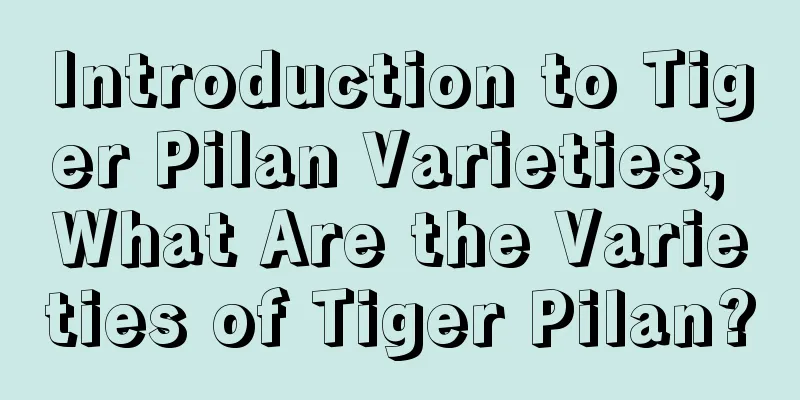 Introduction to Tiger Pilan Varieties, What Are the Varieties of Tiger Pilan?