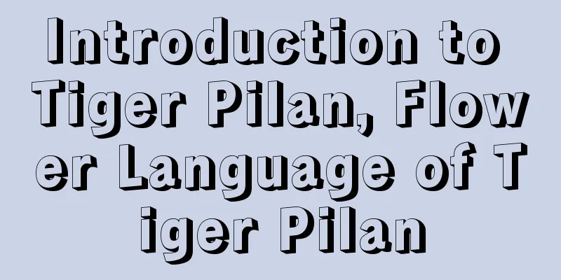 Introduction to Tiger Pilan, Flower Language of Tiger Pilan