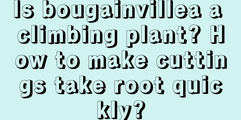 Is bougainvillea a climbing plant? How to make cuttings take root quickly?