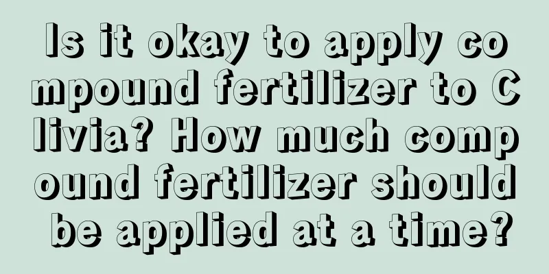 Is it okay to apply compound fertilizer to Clivia? How much compound fertilizer should be applied at a time?