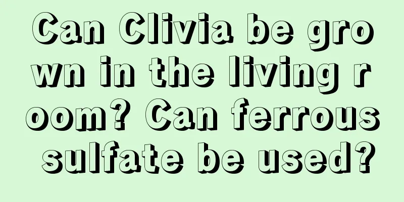 Can Clivia be grown in the living room? Can ferrous sulfate be used?