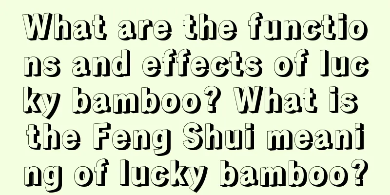 What are the functions and effects of lucky bamboo? What is the Feng Shui meaning of lucky bamboo?