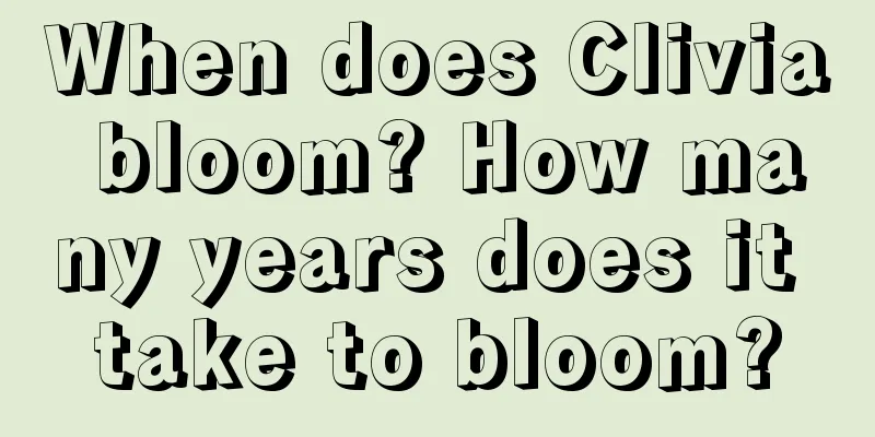 When does Clivia bloom? How many years does it take to bloom?