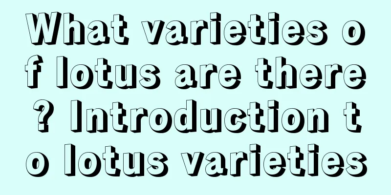 What varieties of lotus are there? Introduction to lotus varieties