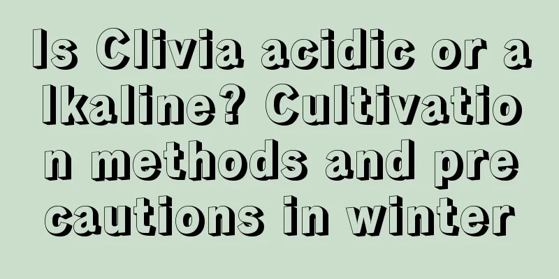 Is Clivia acidic or alkaline? Cultivation methods and precautions in winter