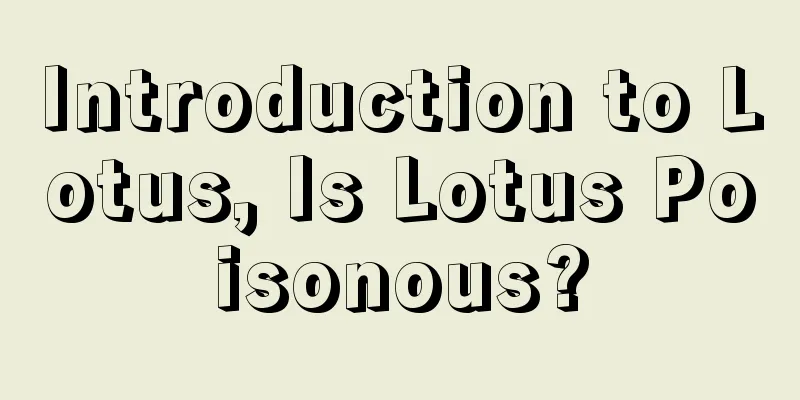 Introduction to Lotus, Is Lotus Poisonous?