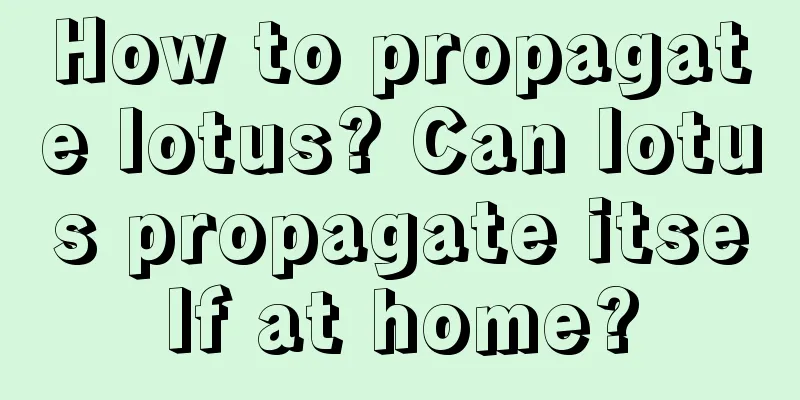 How to propagate lotus? Can lotus propagate itself at home?