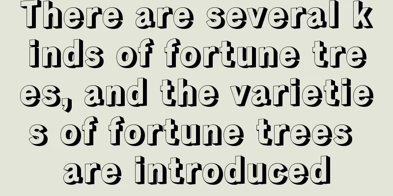 There are several kinds of fortune trees, and the varieties of fortune trees are introduced