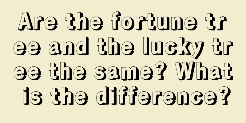 Are the fortune tree and the lucky tree the same? What is the difference?