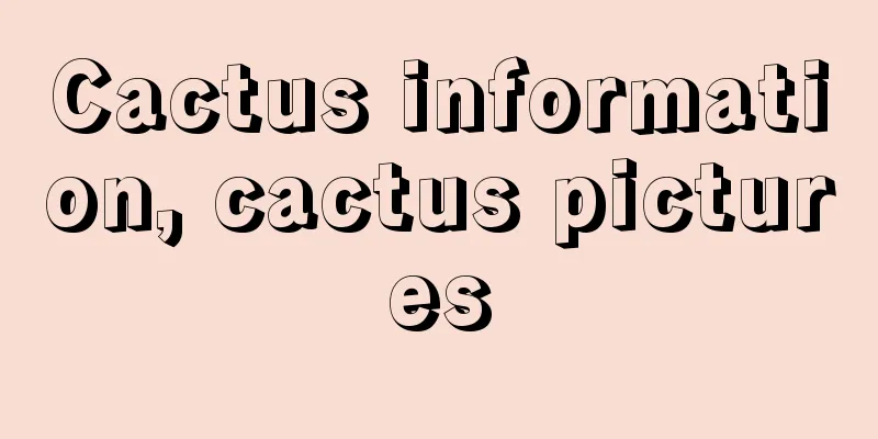 Cactus information, cactus pictures