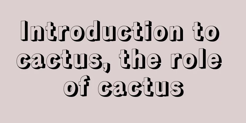 Introduction to cactus, the role of cactus