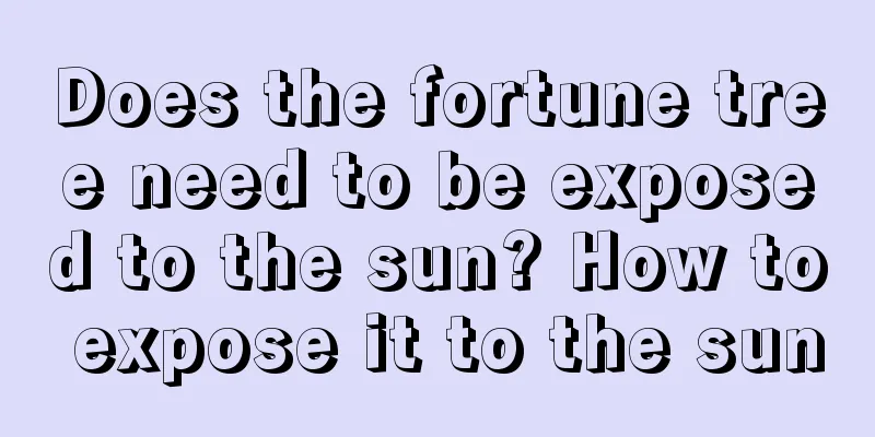 Does the fortune tree need to be exposed to the sun? How to expose it to the sun