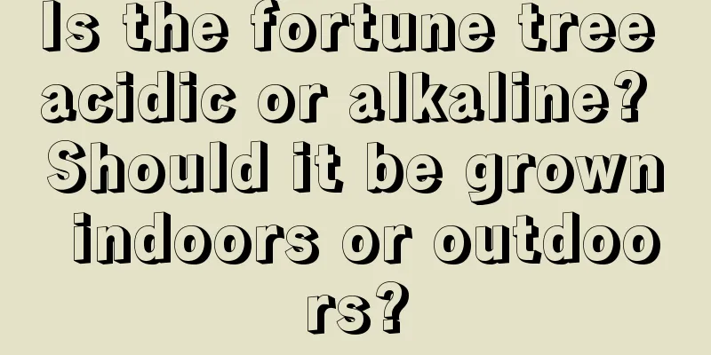 Is the fortune tree acidic or alkaline? Should it be grown indoors or outdoors?