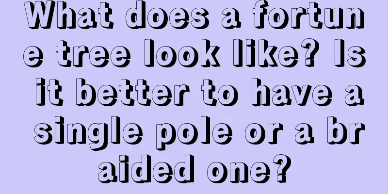 What does a fortune tree look like? Is it better to have a single pole or a braided one?