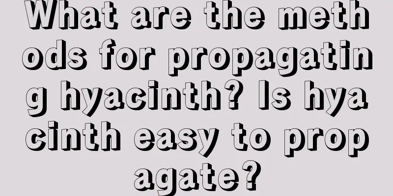 What are the methods for propagating hyacinth? Is hyacinth easy to propagate?