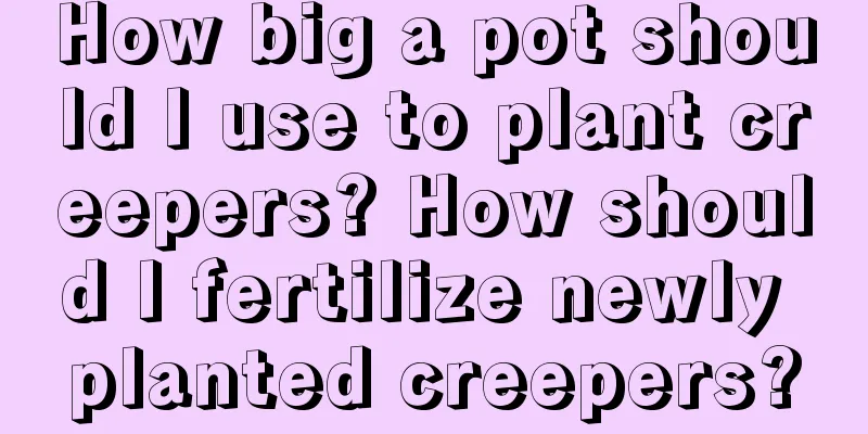 How big a pot should I use to plant creepers? How should I fertilize newly planted creepers?