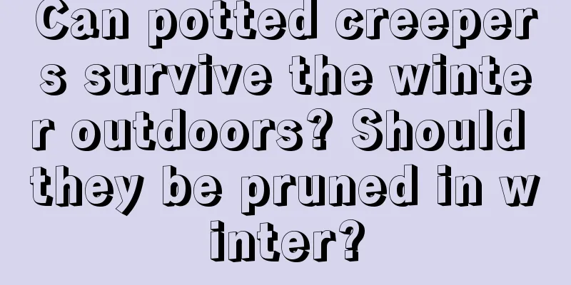 Can potted creepers survive the winter outdoors? Should they be pruned in winter?