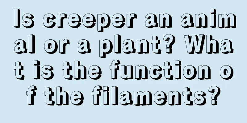 Is creeper an animal or a plant? What is the function of the filaments?