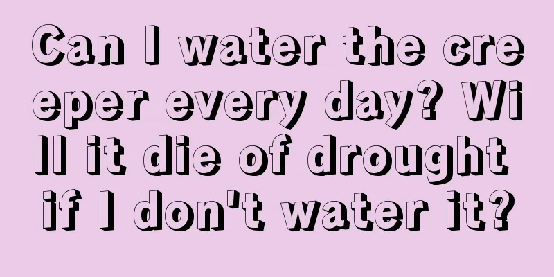 Can I water the creeper every day? Will it die of drought if I don't water it?