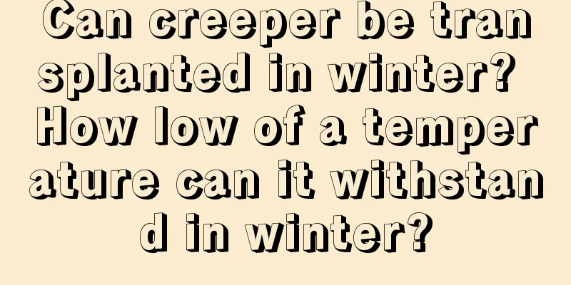 Can creeper be transplanted in winter? How low of a temperature can it withstand in winter?