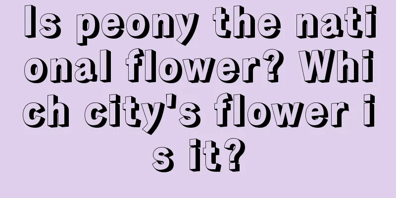 Is peony the national flower? Which city's flower is it?