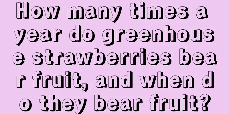 How many times a year do greenhouse strawberries bear fruit, and when do they bear fruit?