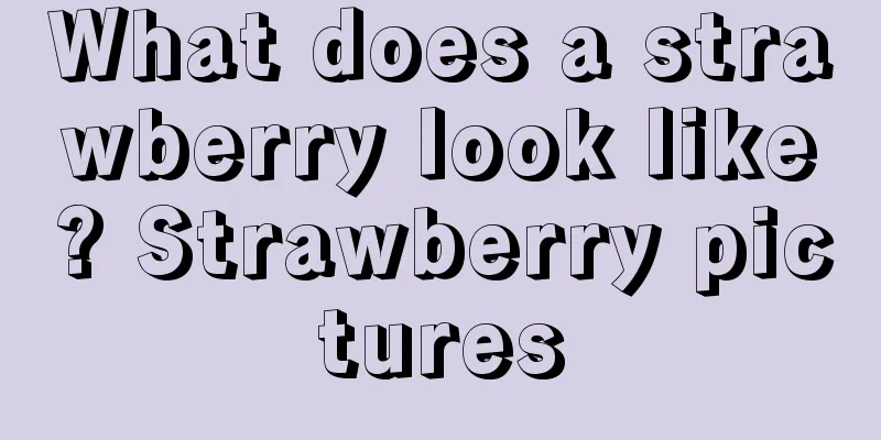 What does a strawberry look like? Strawberry pictures