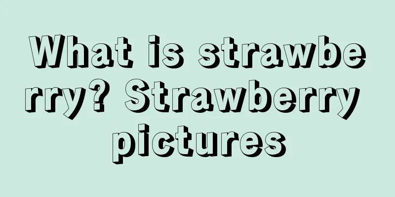 What is strawberry? Strawberry pictures