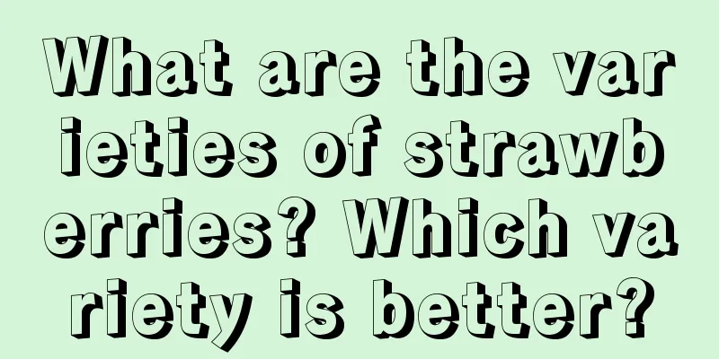 What are the varieties of strawberries? Which variety is better?