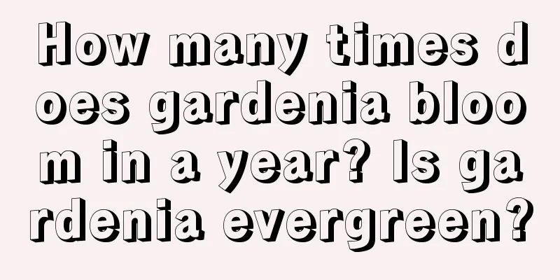 How many times does gardenia bloom in a year? Is gardenia evergreen?